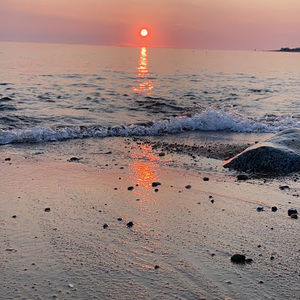 Meet your Posher, Kyle ingrid